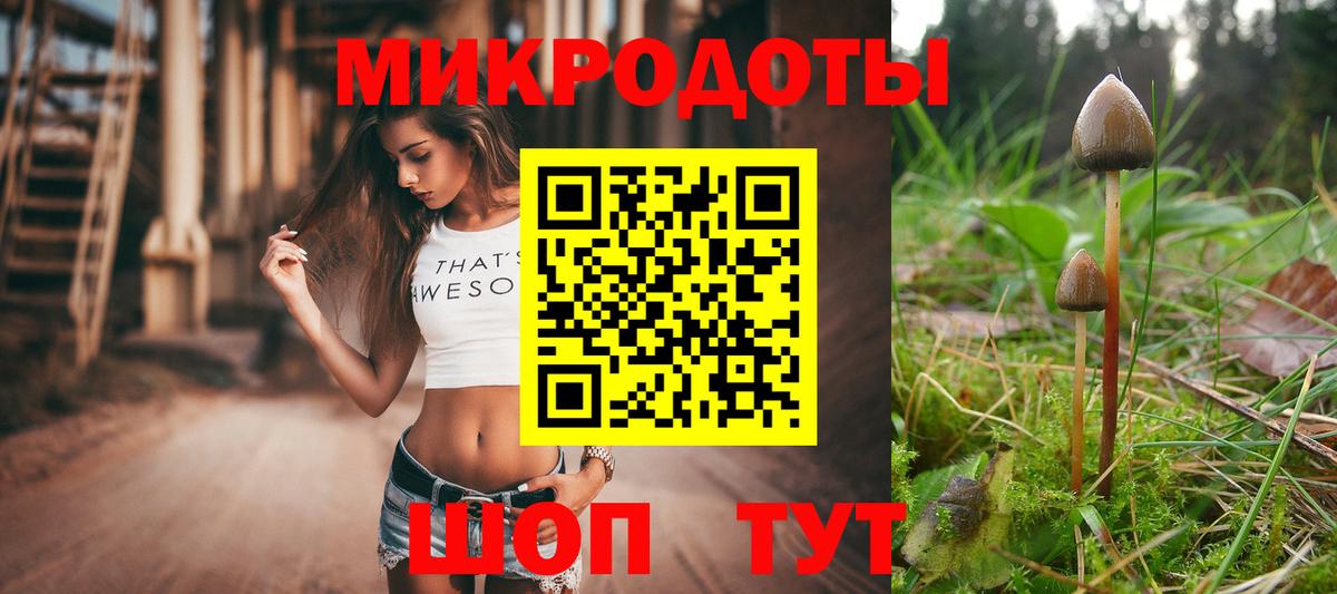 Городец  Псилоцибиновые грибы ЛСД  Галлюциногенные грибы Psilocybine cubensis  Вход с VPN 