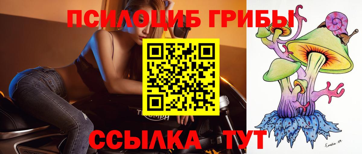 Псилоцибиновые грибы Psilocybe Городец